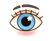 Eye