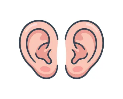 Ears