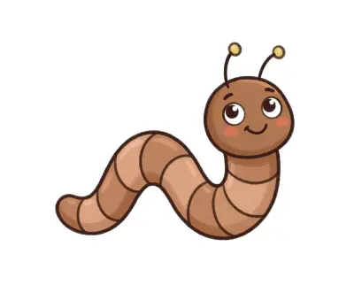 Worm