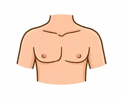 chest