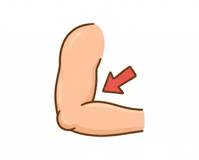 elbow