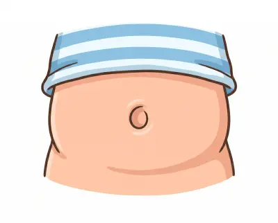 stomach