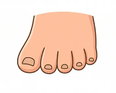 toes