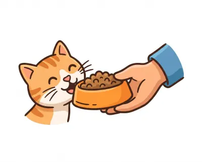 feed